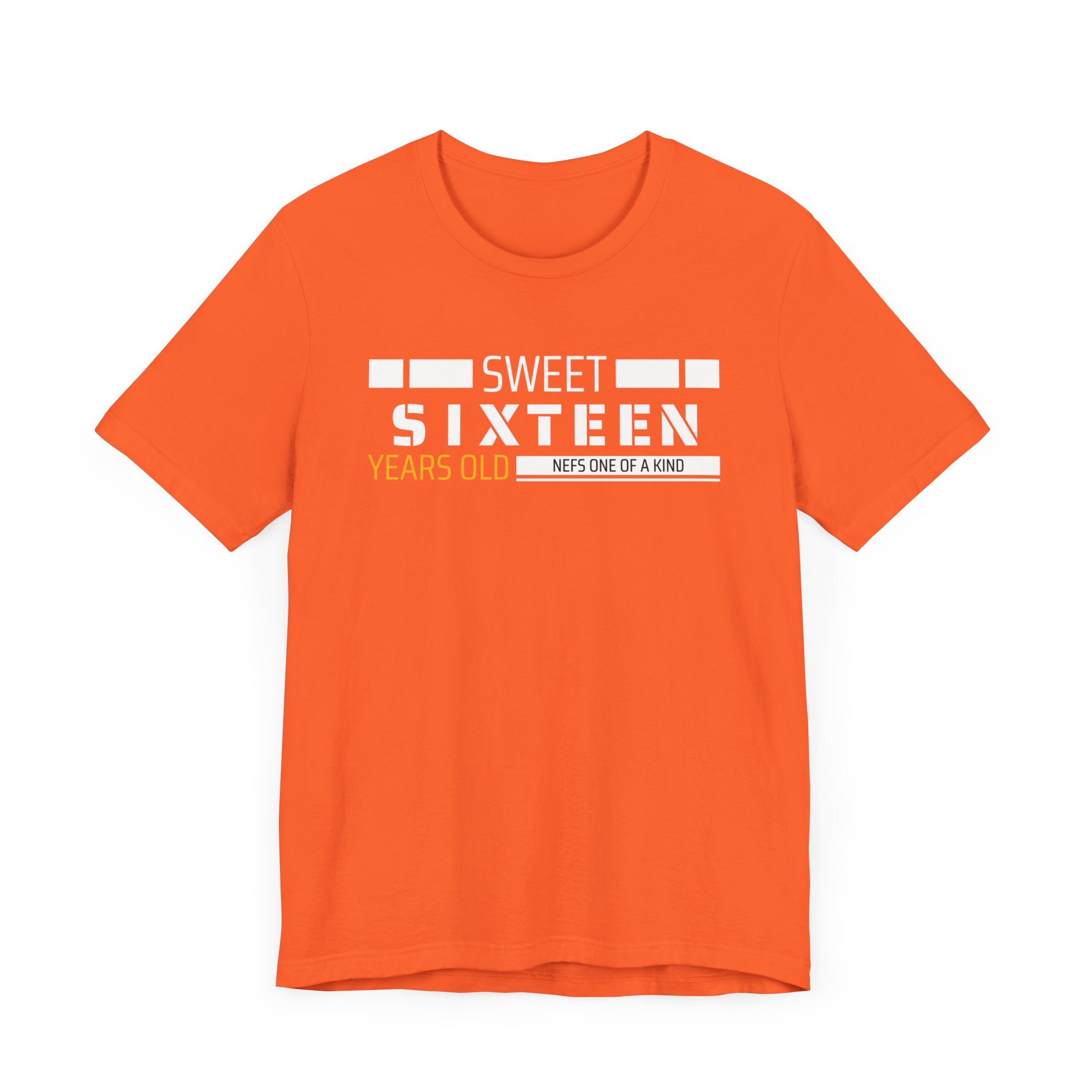 Sixteen year old Unisex Adult Tee